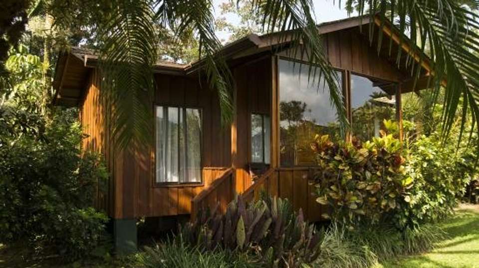 Classic Costa Rica - Greenway Nature Tours - Costa Rica - Image 15