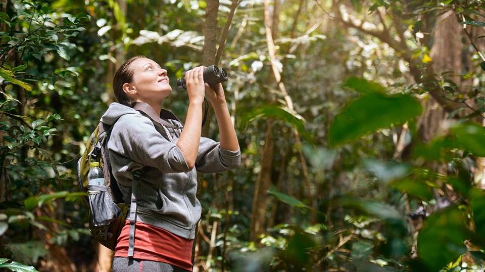 Classic Costa Rica - Greenway Nature Tours - Costa Rica - Image 8