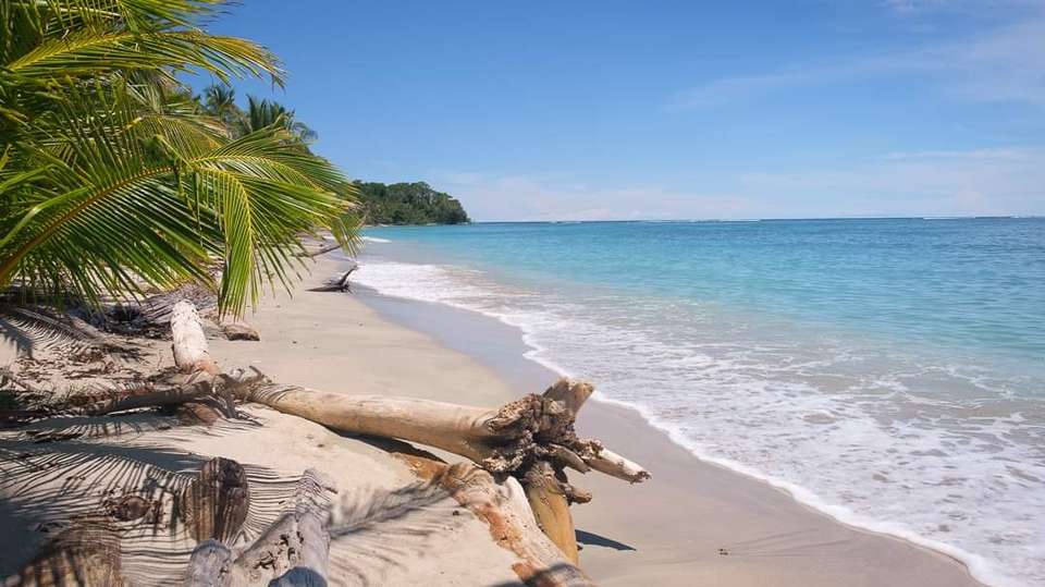 Classic Costa Rica - Greenway Nature Tours - Costa Rica - Image 5