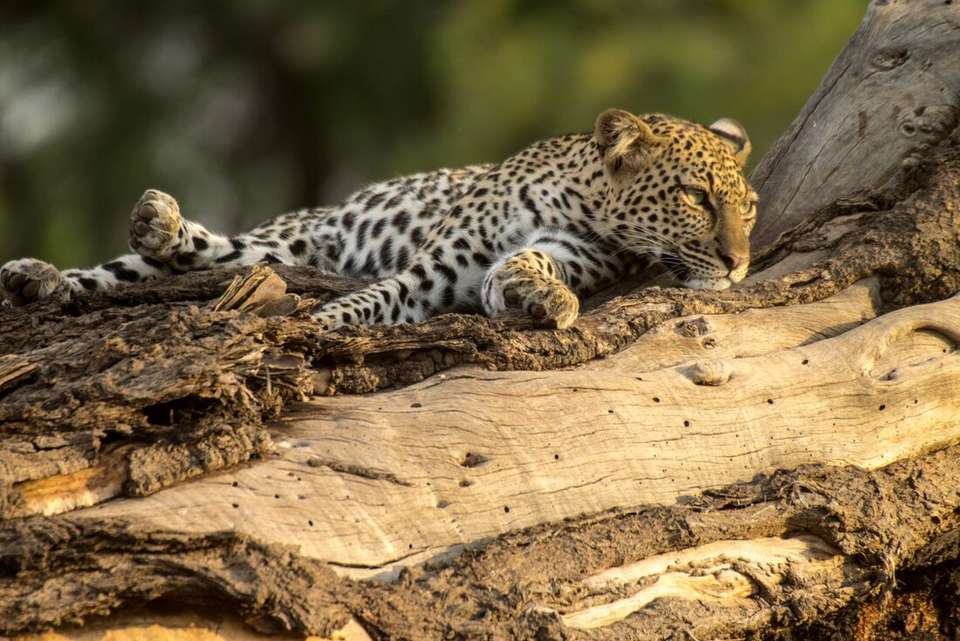 Classic East Africa - Intrepid Travel - Kenya - Image 19
