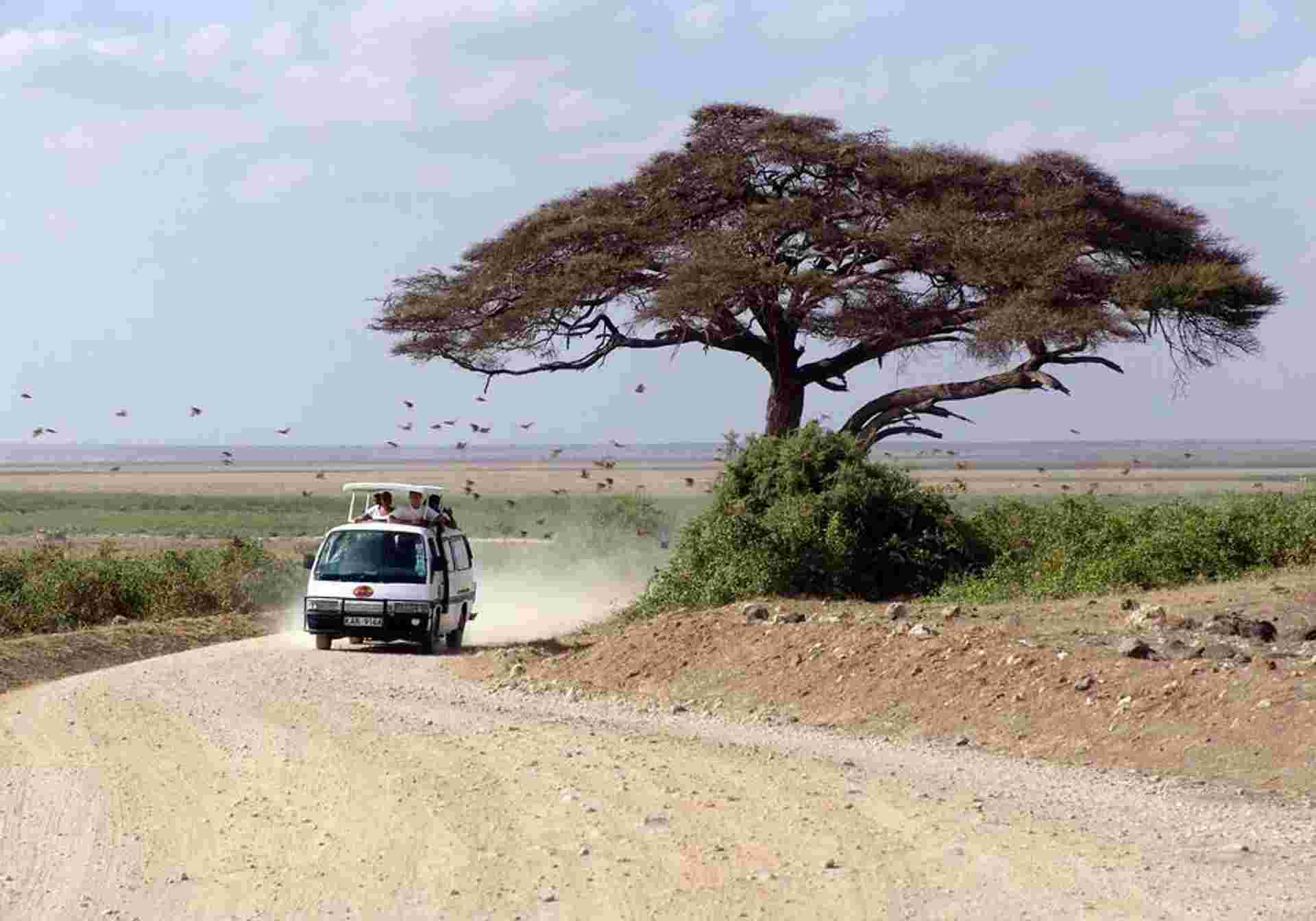 Classic East Africa