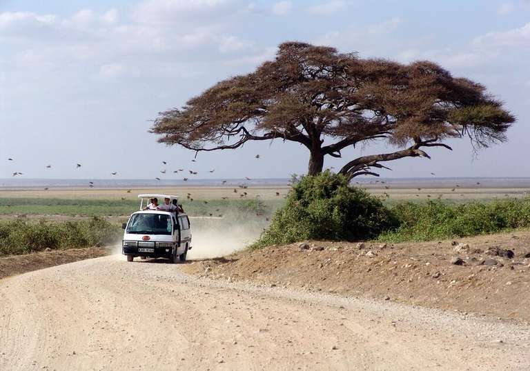Classic East Africa trip - alternative tour available