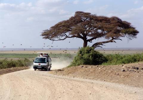 Classic East Africa