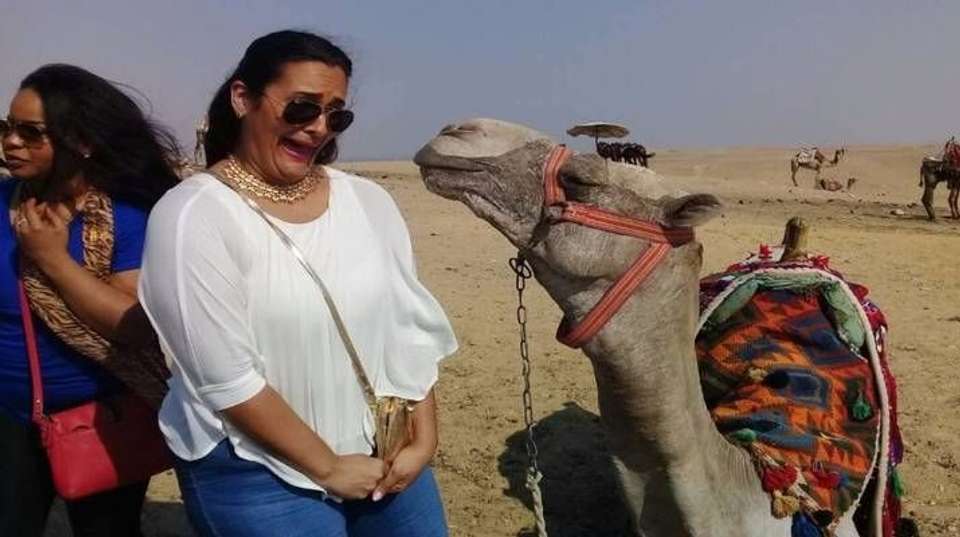 Classic Egypt Tour & Nile Cruise 8 Days In 5* or 4* Stars - Ibermundo Travel Egypt - Egypt - Image 6