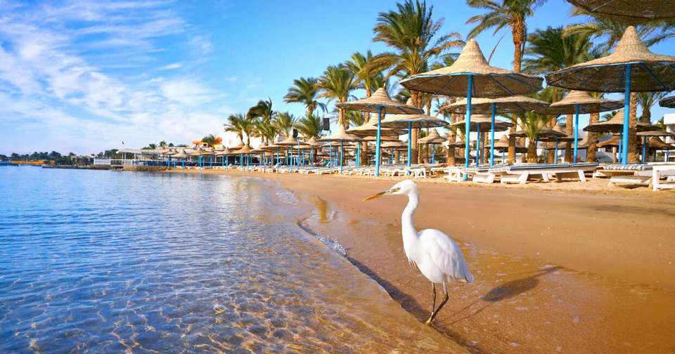 Classic Egypt with Nile Cruise + Red Sea Extension - Explore - Egypt - Image 13