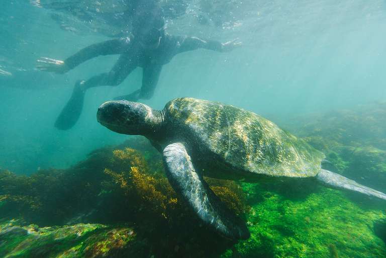 Classic Galapagos: Central Eastern Islands (Grand Queen Beatriz) trip - alternative tour available