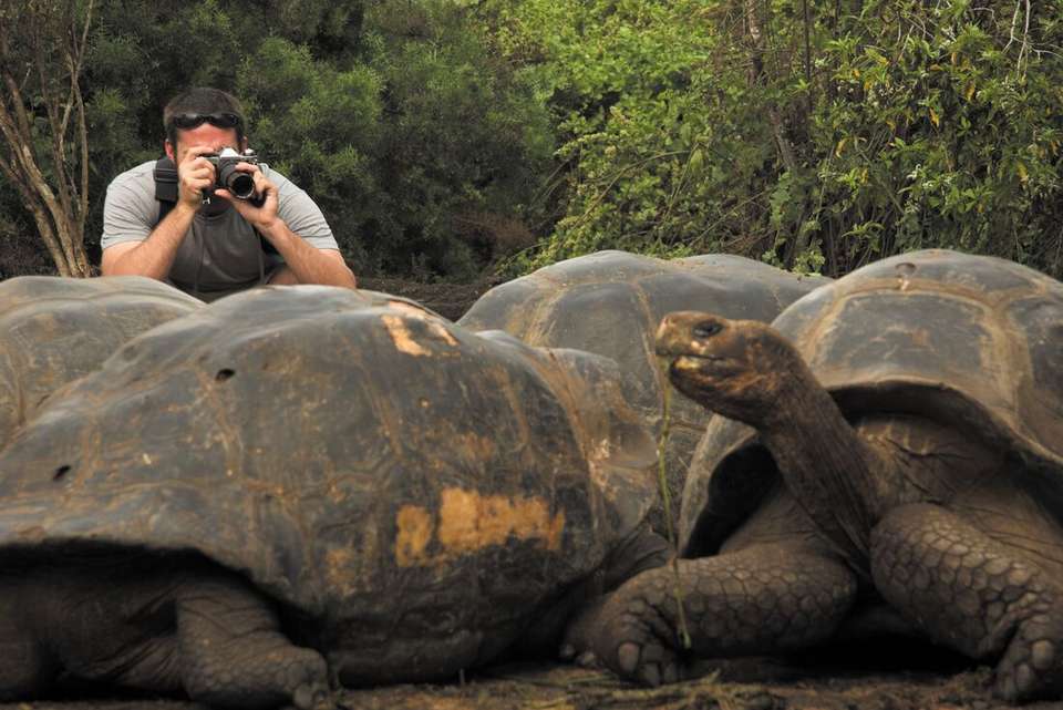 Classic Galapagos: Southern Islands (Grand Queen Beatriz) - Intrepid Travel - Ecuador - Image 8