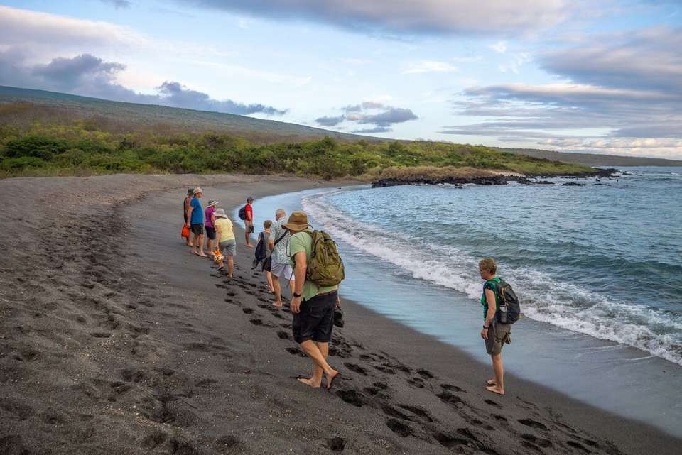 Classic Galapagos: Southern Islands (Grand Queen Beatriz) - Intrepid Travel - Ecuador - Image 9