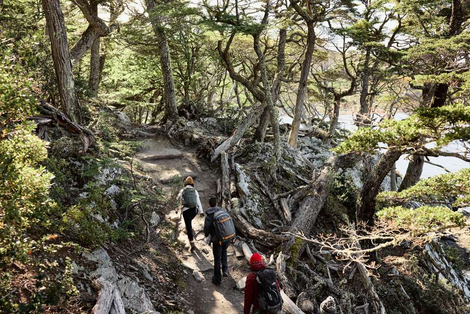 Classic Hikes of Patagonia - Intrepid Travel - Argentina - Image 7