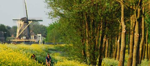Classic Holland Cycle - Fall Tours