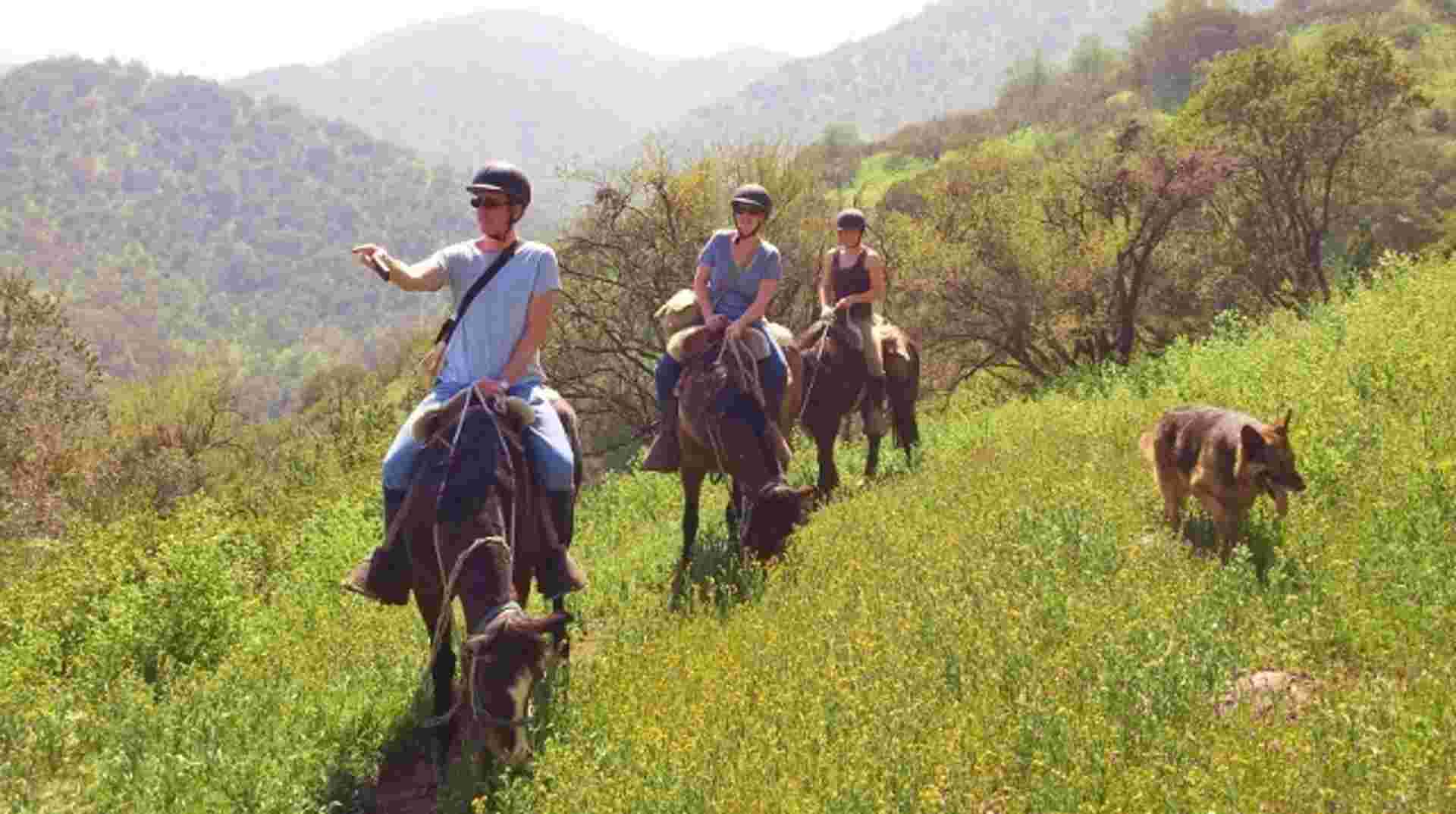 Classic Horseback Ride