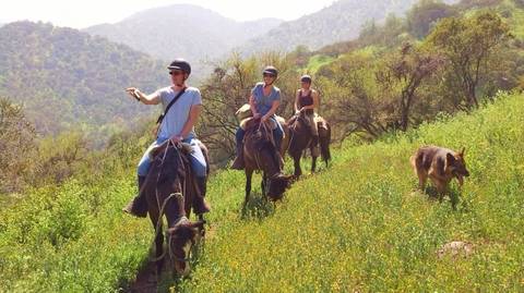 Classic Horseback Ride - Fall Tours