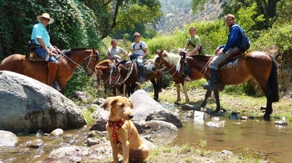 Classic Horseback Ride - Chile Off Track - Chile - Image 3