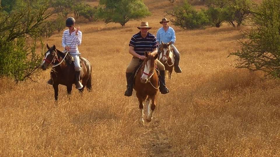 Classic Horseback Ride - Chile Off Track - Chile - Image 4