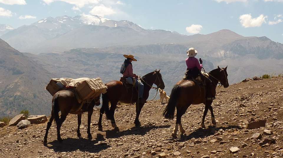 Classic Horseback Ride - Chile Off Track - Chile - Image 5