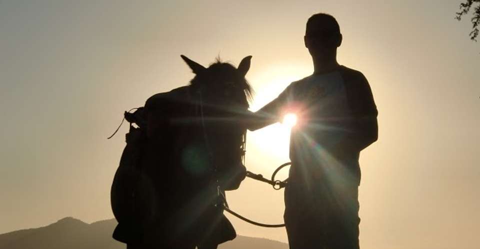 Classic Horseback Ride - Chile Off Track - Chile - Image 2