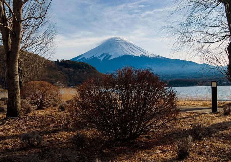 Classic Japan Starting Tokyo - Indus Travels - Japan - Image 4