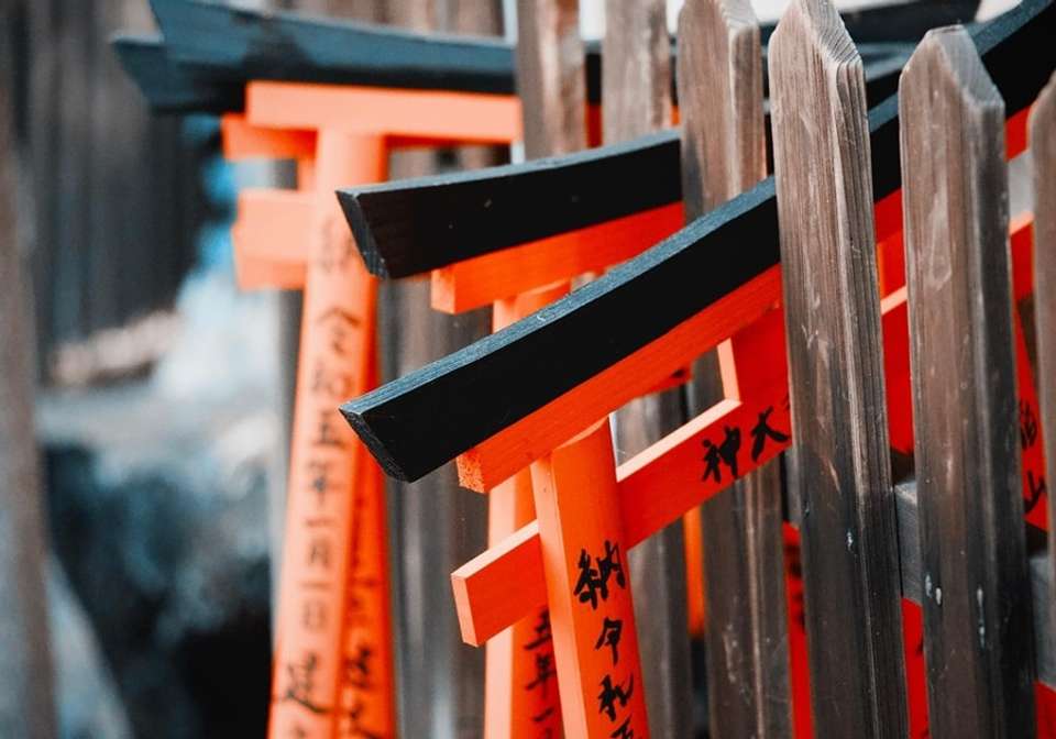Classic Japan Starting Tokyo - Indus Travels - Japan - Image 5