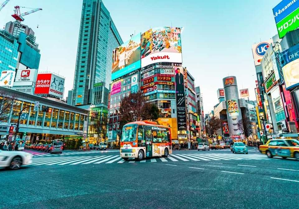 Classic Japan Starting Tokyo - Indus Travels - Japan - Image 8