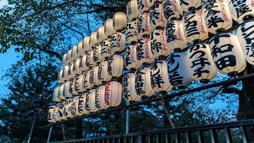 Classic Japan Starting Tokyo - Indus Travels - Japan - Image 10