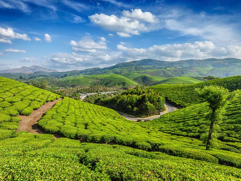 Classic Kerala - 9 Days trip - alternative tour available