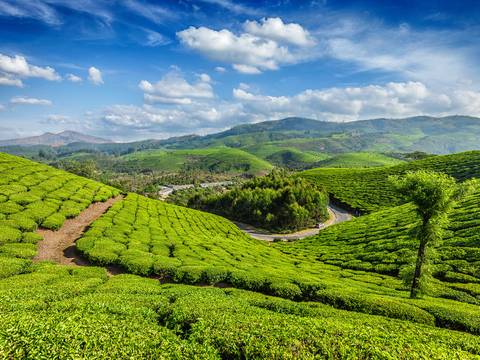 India Farm And Plantation Visits Tour: Classic Kerala - 9 Days