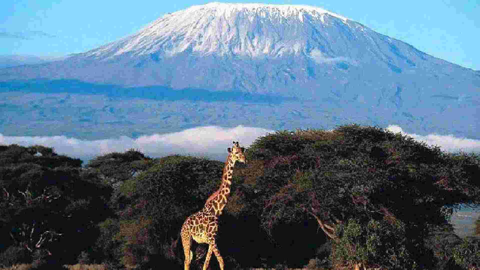 Classic Kilimanjaro Trek