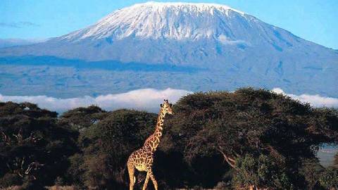 Tanzania Small Group Tours: Classic Kilimanjaro Trek