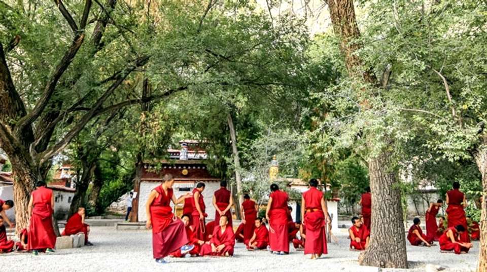 Classic Lhasa Group Tour: 4 Days  - undefined - Image 5