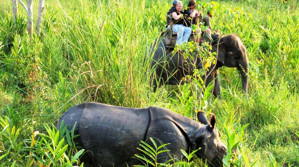 Classic Nepal Experience - Unique Adventure International Pvt Ltd - Nepal - Image 7