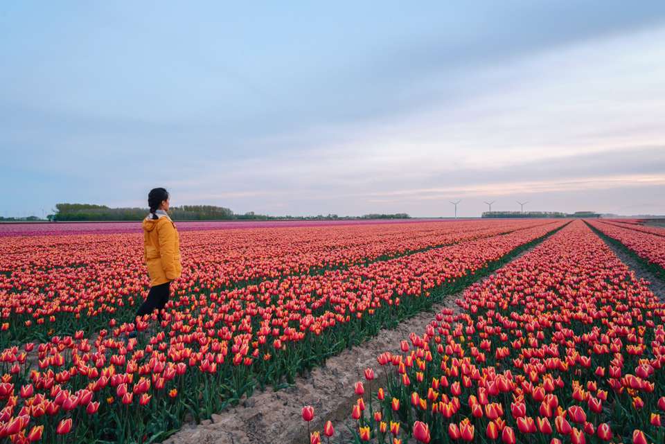Classic Paris to Amsterdam - Intrepid Travel - France - Image 7