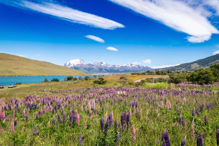 Classic Patagonia Treks - January 2026