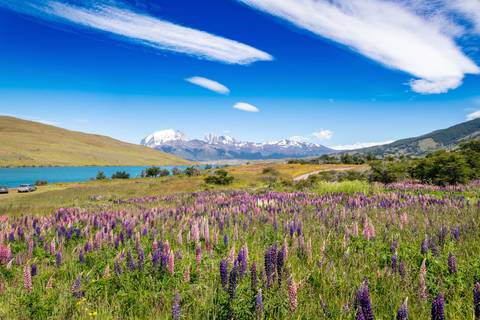 Classic Patagonia Treks - January 2026