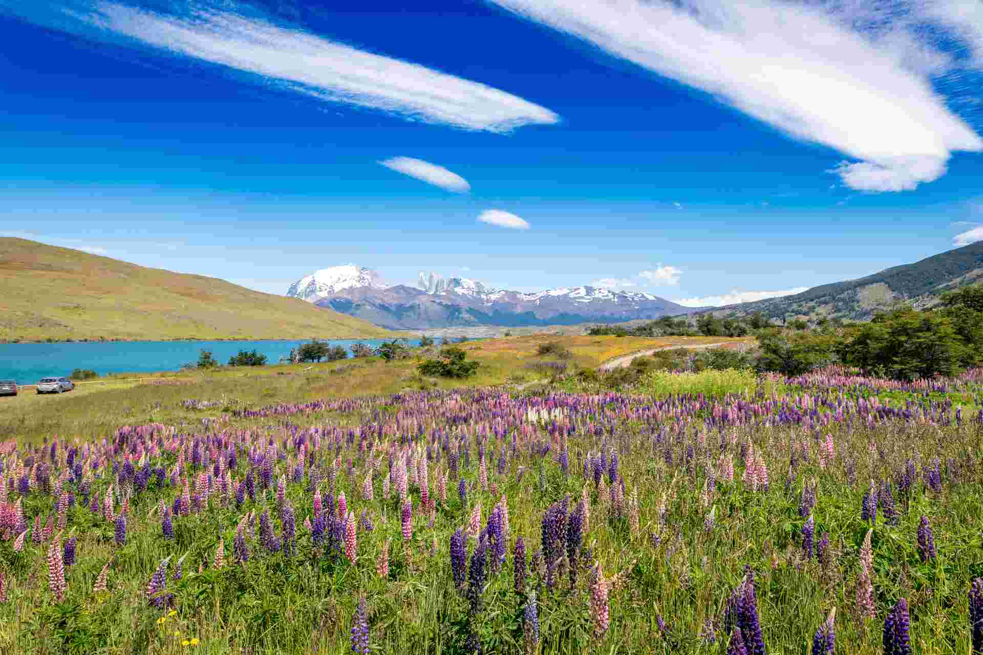 Classic Patagonia Treks