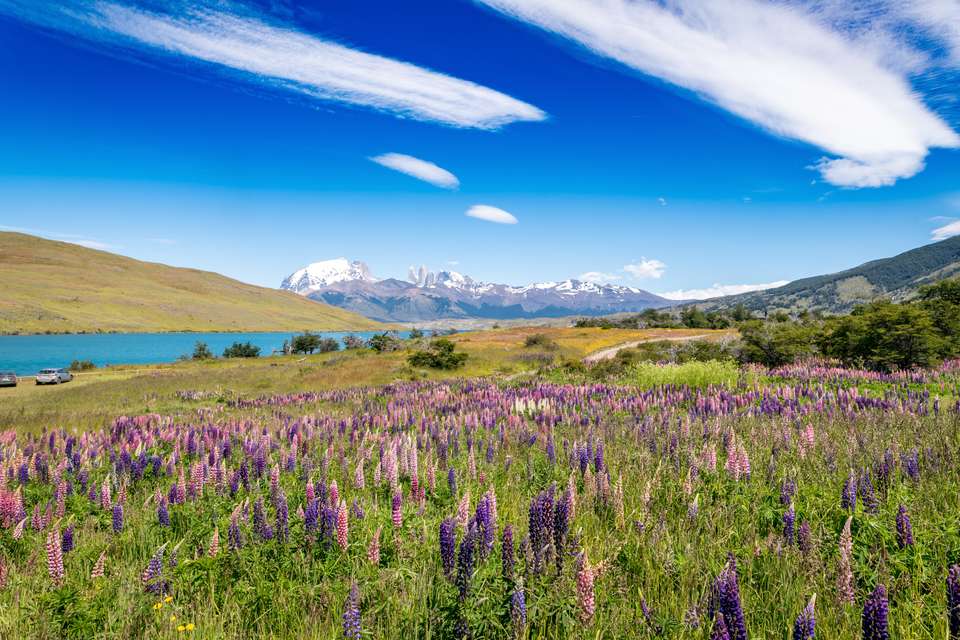 Classic Patagonia Treks - Exodus Adventure Travels - Chile - Image 1