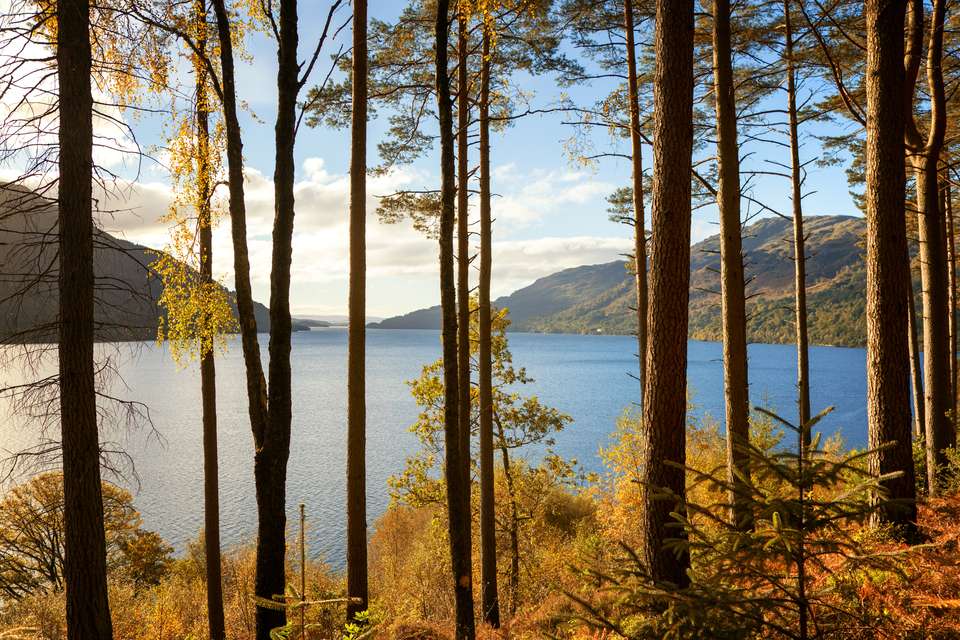 Classic Scotland: Edinburgh to the Highlands - Exodus Adventure Travels - Scotland - Image 5