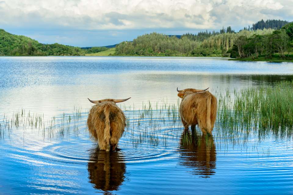 Classic Scotland: Edinburgh to the Highlands - Exodus Adventure Travels - Scotland - Image 6