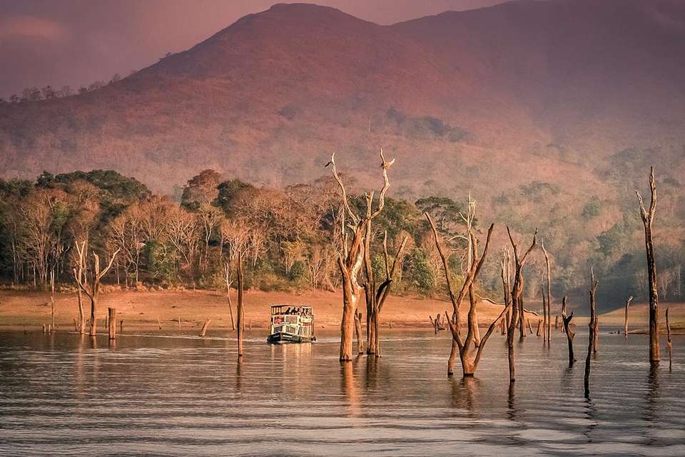 Classic South India - Intrepid Travel - India - Image 5