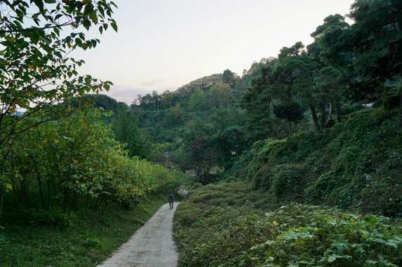 Image 2 of 6