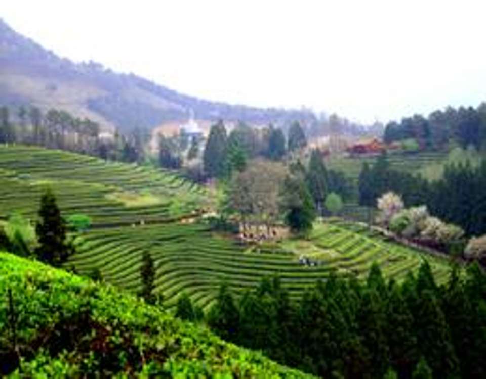 Classic South Korea - 7 days - On The Go Tours - South Korea