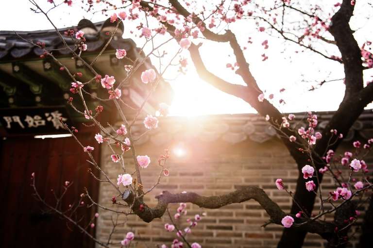 LUXURY SOUTH KOREA TRAVEL: A DISCOVERY TOUR trip - alternative tour available