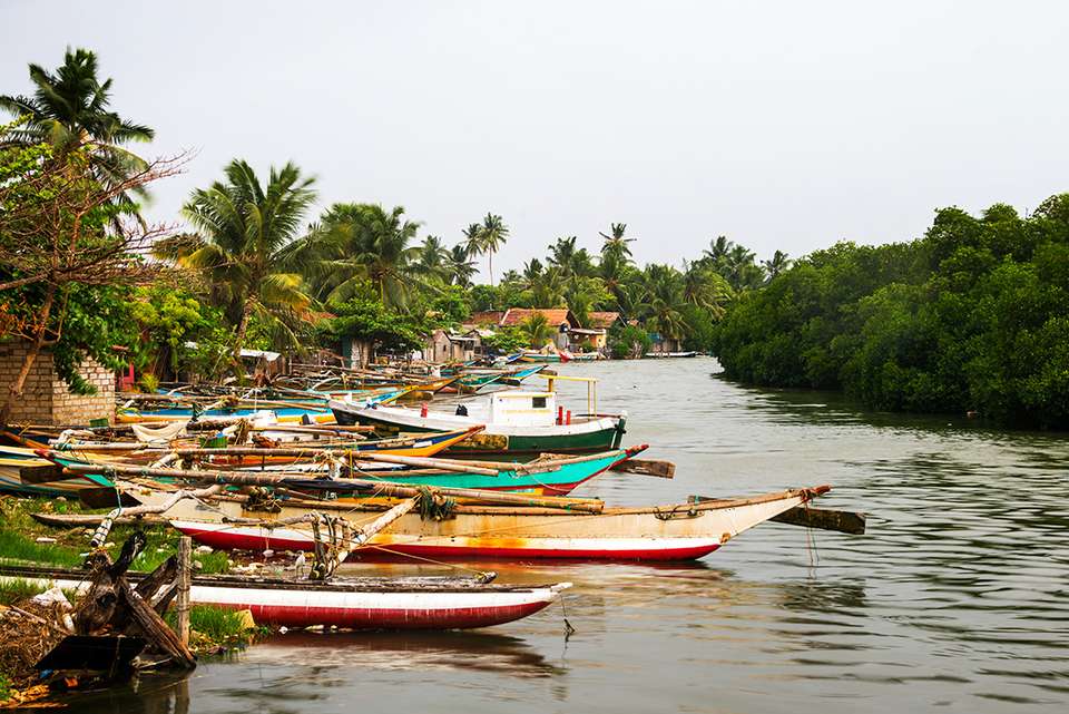 Classic Sri Lanka - Intrepid Travel - Sri Lanka - Image 18