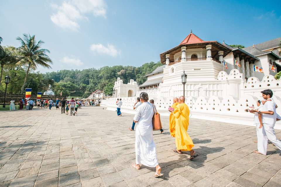 Classic Sri Lanka - Intrepid Travel - Sri Lanka - Image 14