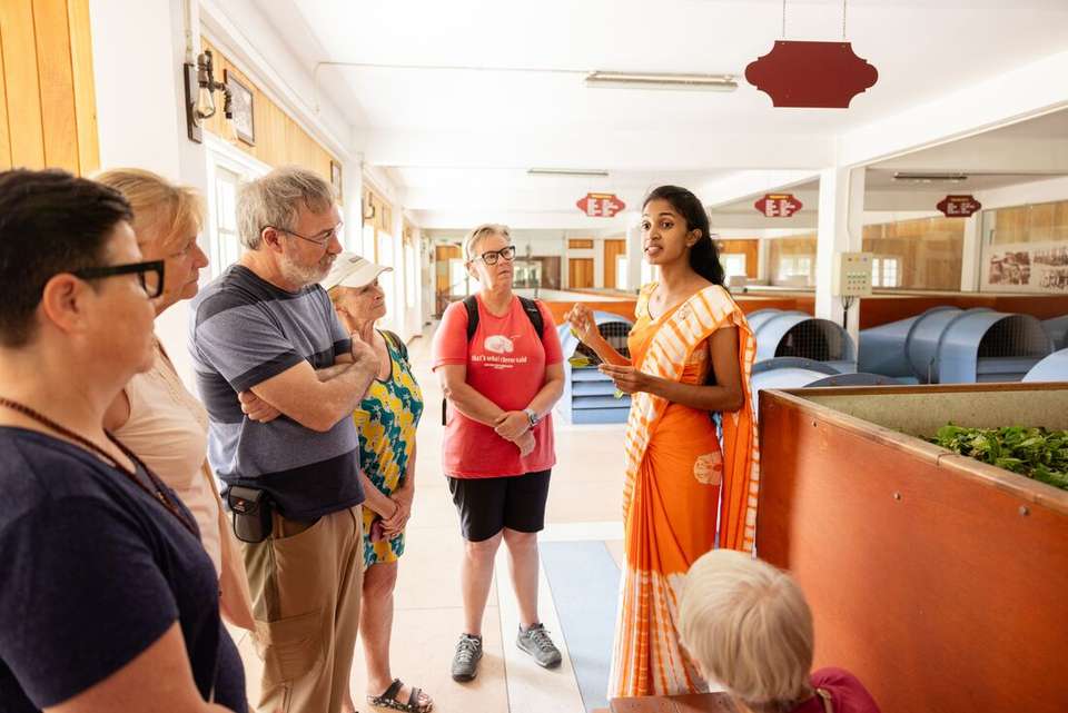 Classic Sri Lanka - Intrepid Travel - Sri Lanka - Image 2