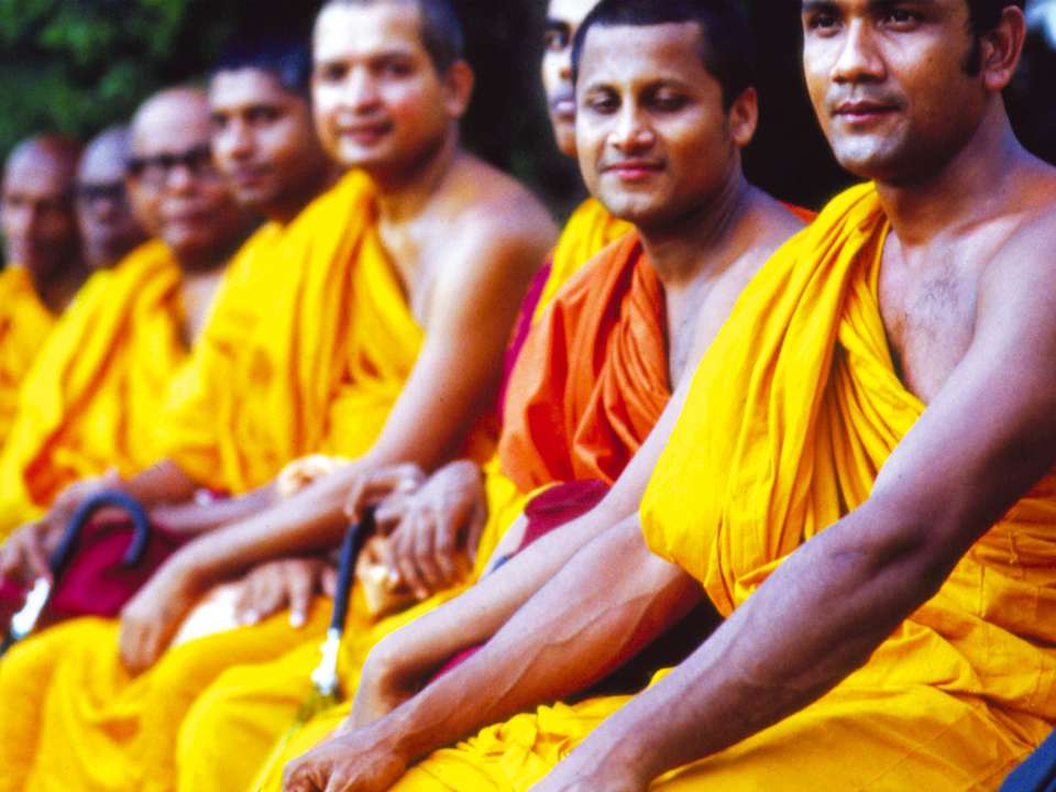 Classic Sri Lanka - 9 Days - On The Go Tours - Sri Lanka - Image 3
