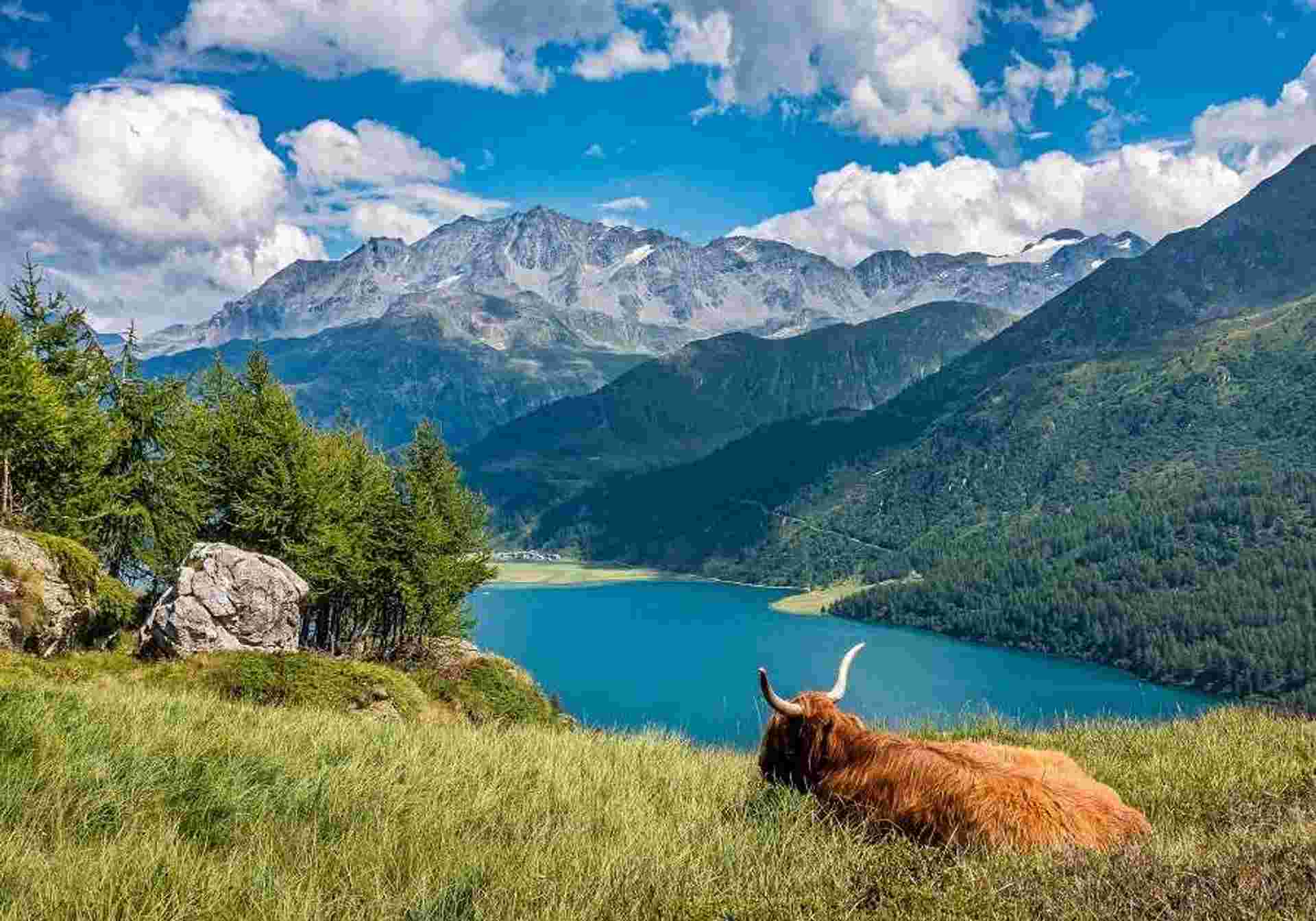 Classic Switzerland Self Drive