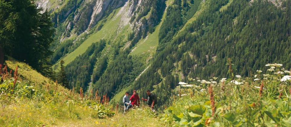Classic Tour du Mont Blanc in Comfort - Walkers' Britain - France - Image 4