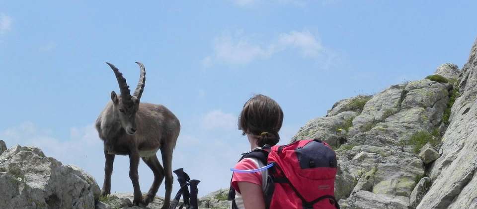 Classic Tour du Mont Blanc in Comfort - Walkers' Britain - France - Image 5