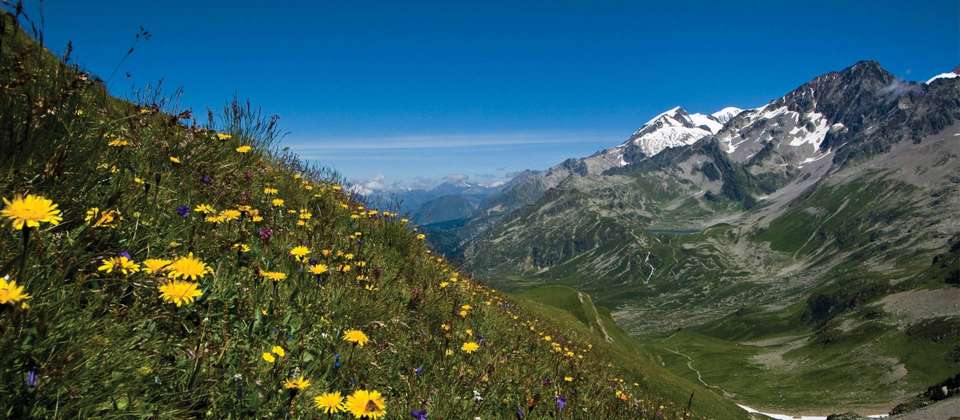 Classic Tour du Mont Blanc in Comfort - Walkers' Britain - France - Image 6