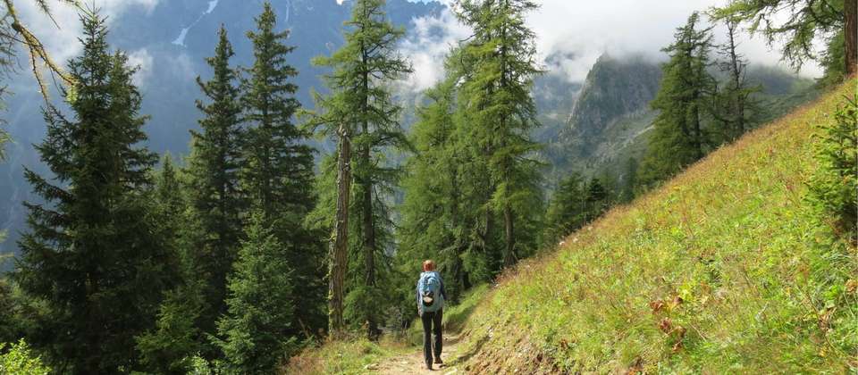 Classic Tour du Mont Blanc in Comfort - Walkers' Britain - France - Image 8